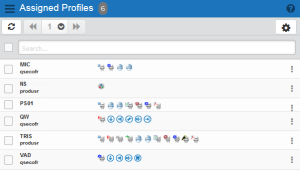 The Assigned Profiles page.
